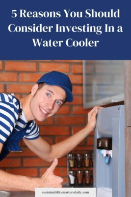 5 Reasons You Should Consider Investing In a Water Cooler