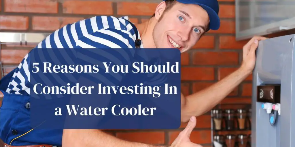 5 Reasons You Should Consider Investing In a Water Cooler