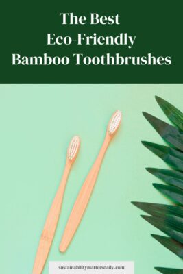 The Best  Eco-Friendly Bamboo Toothbrushes