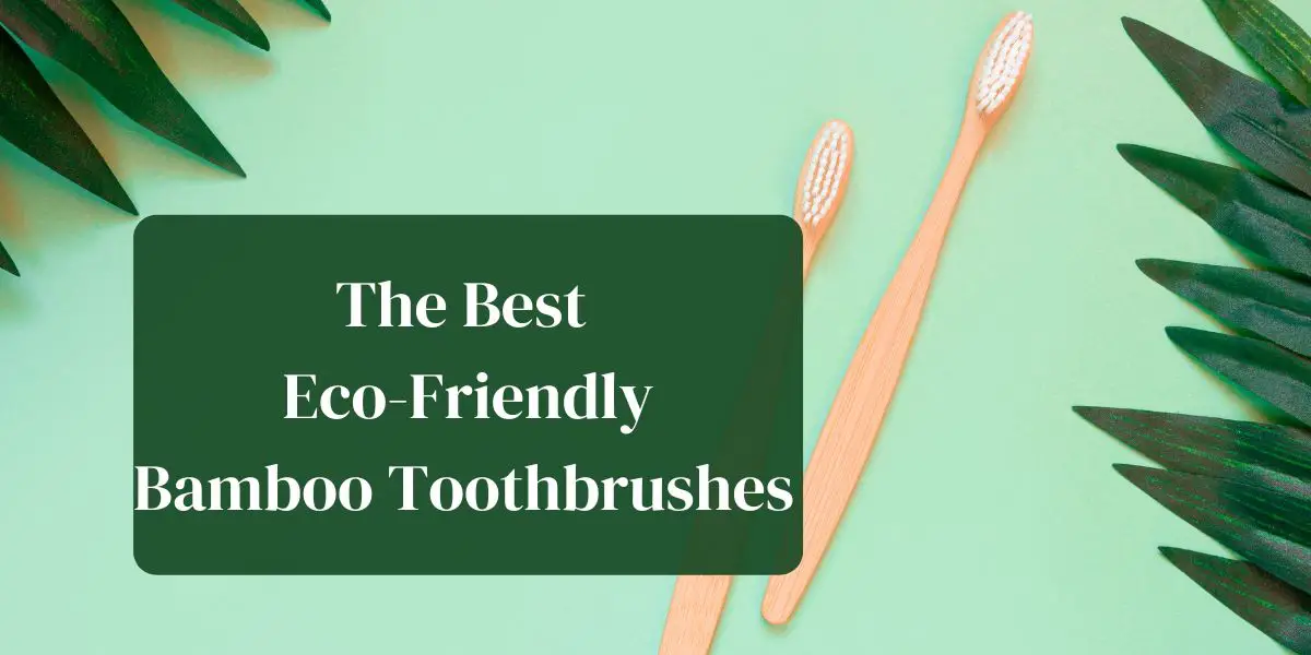 The Best Eco-Friendly Bamboo Toothbrushes