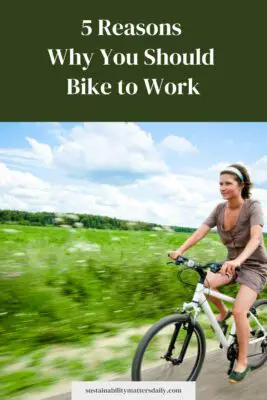 5 Reasons  Why You Should Bike to Work