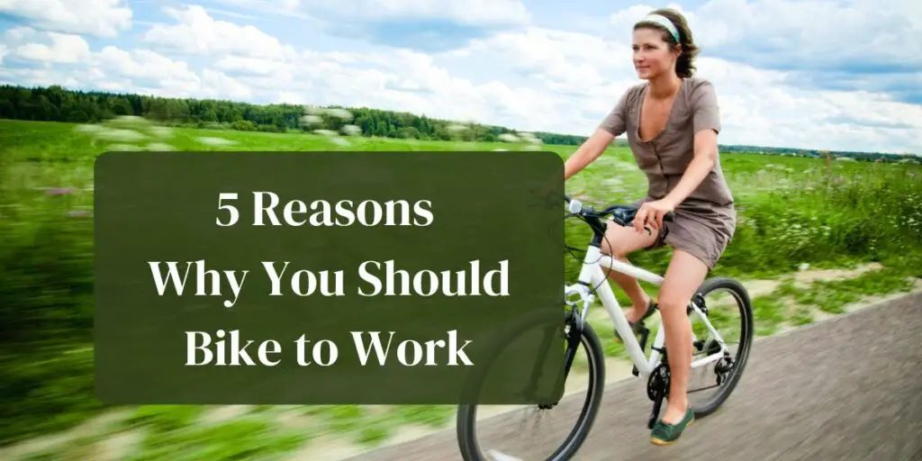 5 Reasons Why You Should Bike to Work