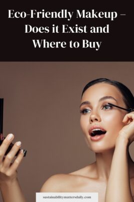 Eco-Friendly Makeup – Does it Exist and Where to Buy