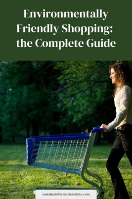 Environmentally Friendly Shopping: the Complete Guide