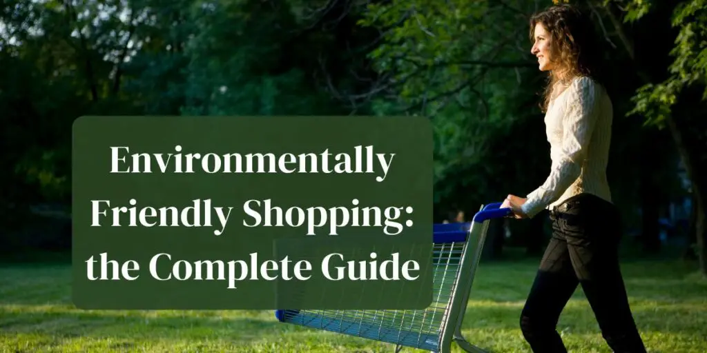 Environmentally Friendly Shopping: the Complete Guide