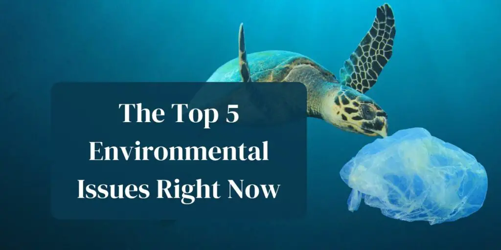 The Top 5 Environmental Issues Right Now