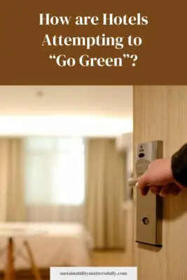 How are Hotels Attempting to  “Go Green”?