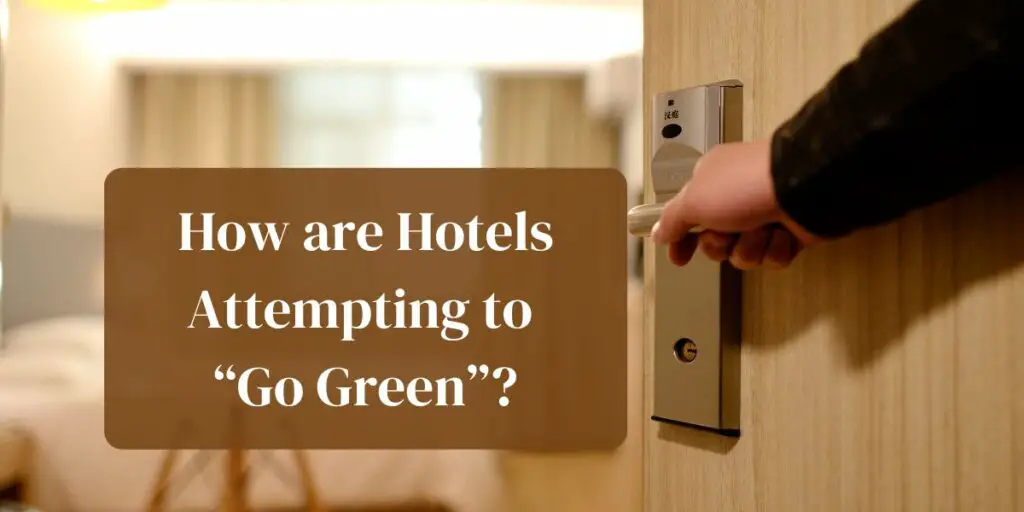 How are Hotels Attempting to “Go Green”?
