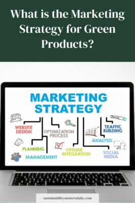 What is the Marketing Strategy for Green Products?
