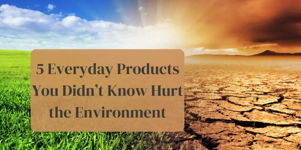 5 Everyday Products You Didn’t Know Hurt the Environment