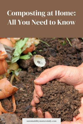 Composting at Home: All You Need to Know