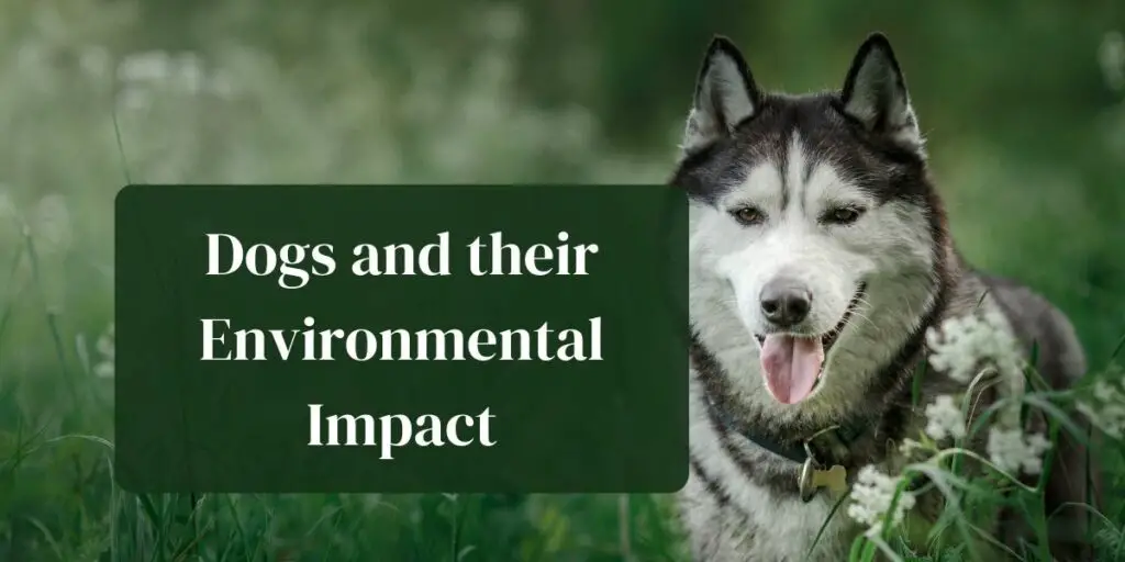 Dogs and their Environmental Impact