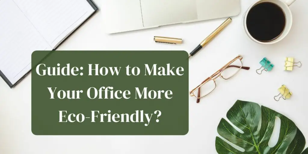 Guide: How to Make Your Office More Eco-Friendly?