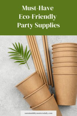 Must-Have  Eco-Friendly  Party Supplies