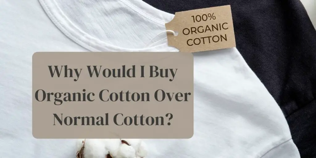 Why Would I Buy Organic Cotton Over Normal Cotton?