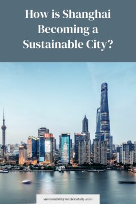 How is Shanghai Becoming a Sustainable City?