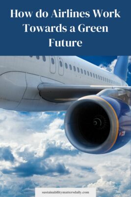 How do Airlines Work Towards a Green Future