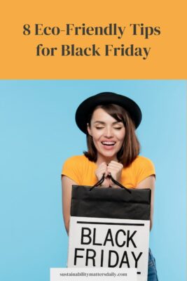 8 Eco-Friendly Tips for Black Friday