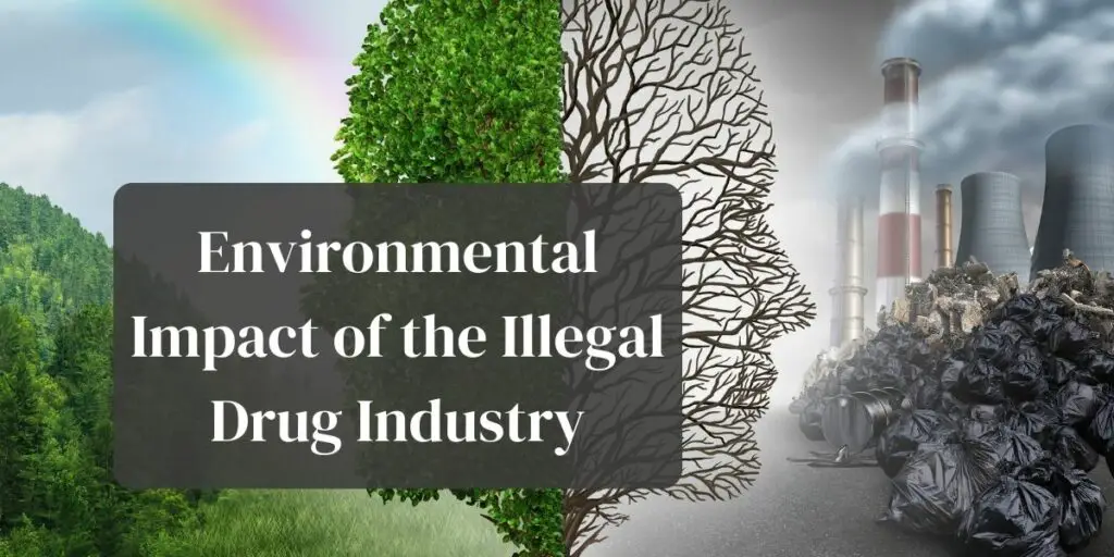 Environmental Impact of the Illegal Drug Industry