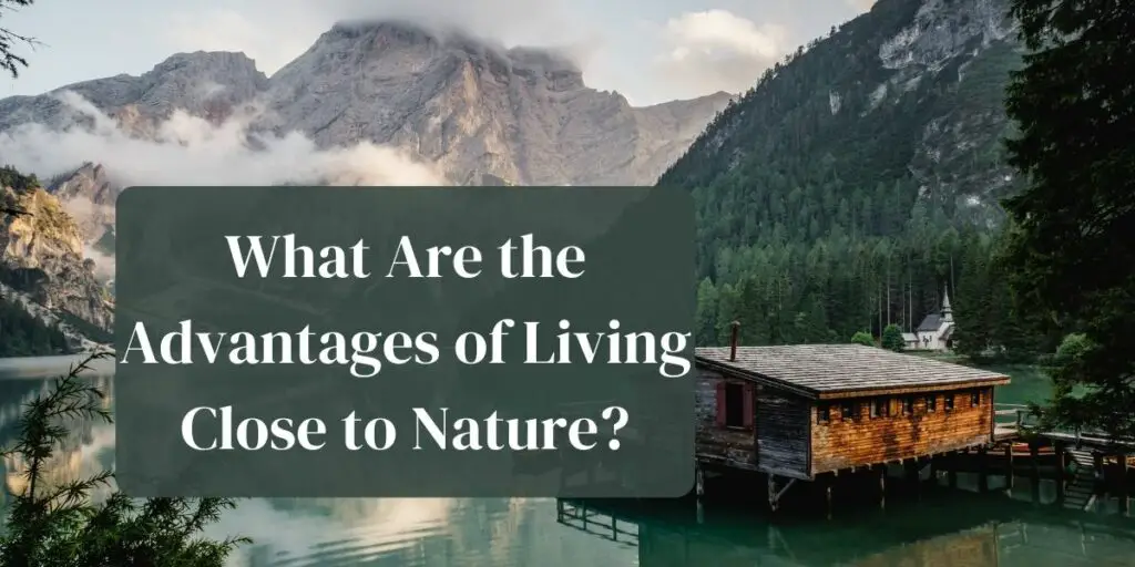 What Are the Advantages of Living Close to Nature?