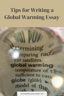 Tips for Writing a Global Warming Essay