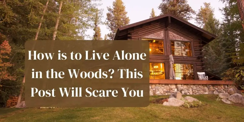 How is to Live Alone in the Woods? This Post Will Scare You