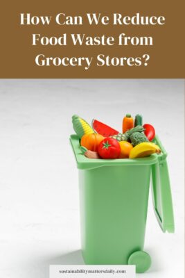 How Can We Reduce Food Waste from Grocery Stores?