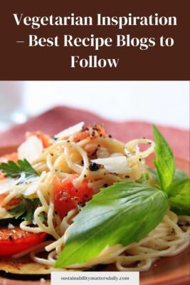 Vegetarian Inspiration – Best Recipe Blogs to Follow