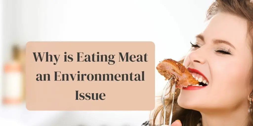 Why is Eating Meat an Environmental Issue