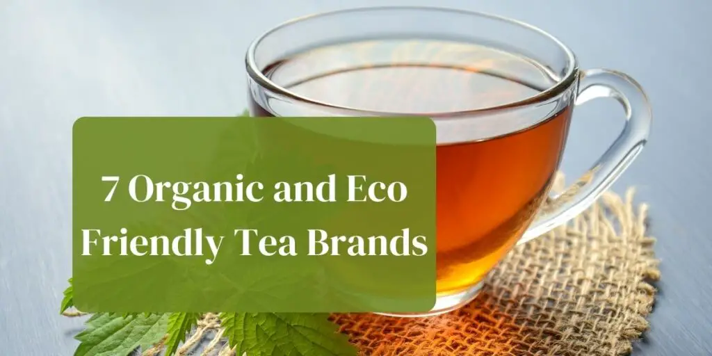7 Organic and Eco Friendly Tea Brands