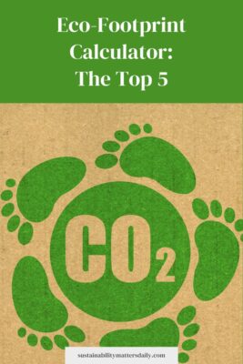 Eco-Footprint Calculator: The Top 5