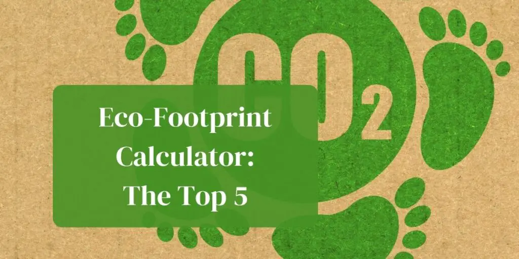 Eco-Footprint Calculator: The Top 5
