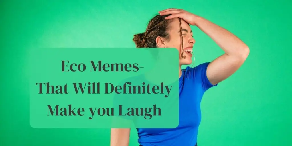 Eco Memes- That Will Definitely Make you Laugh