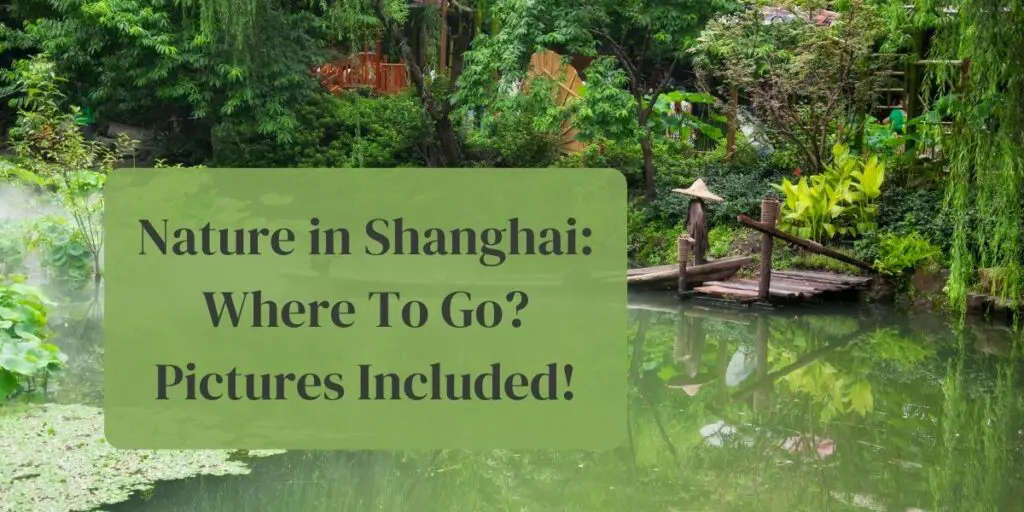 Nature in Shanghai: Where To Go? Pictures Included!