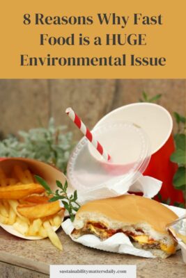 8 Reasons Why Fast Food is a HUGE Environmental Issue
