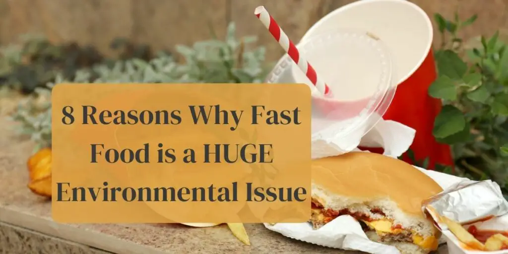 8 Reasons Why Fast Food is a HUGE Environmental Issue