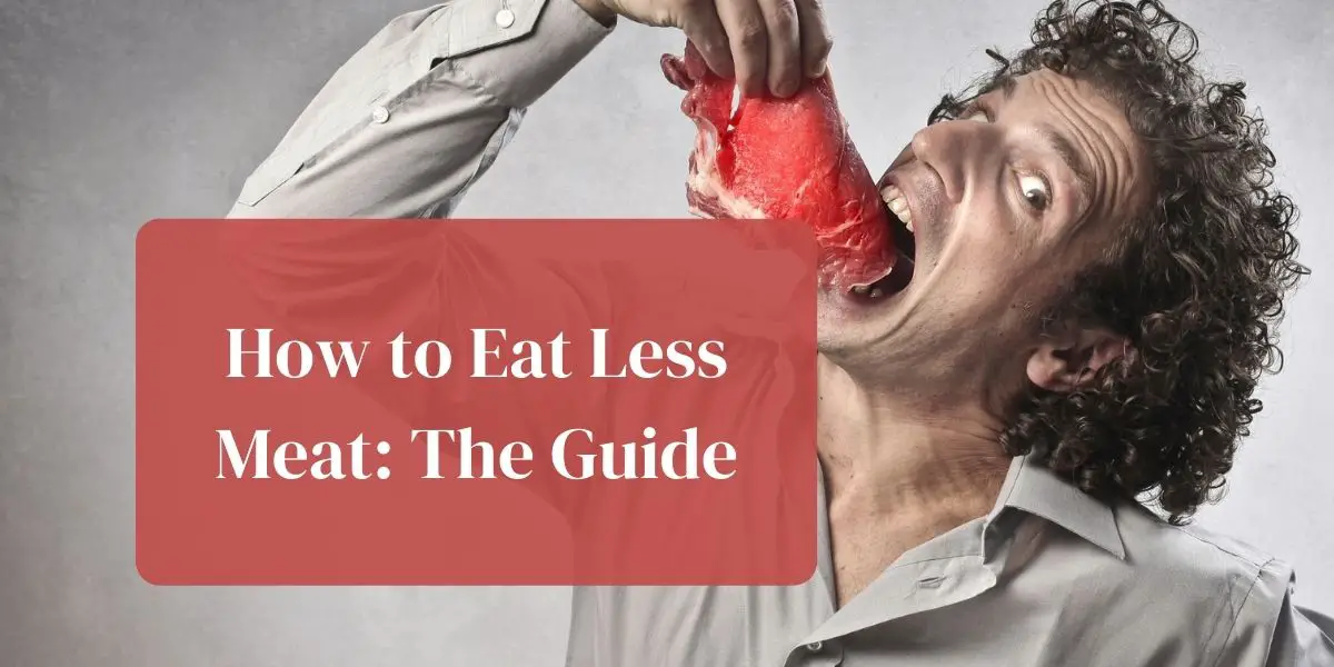 How to Eat Less Meat: The Guide