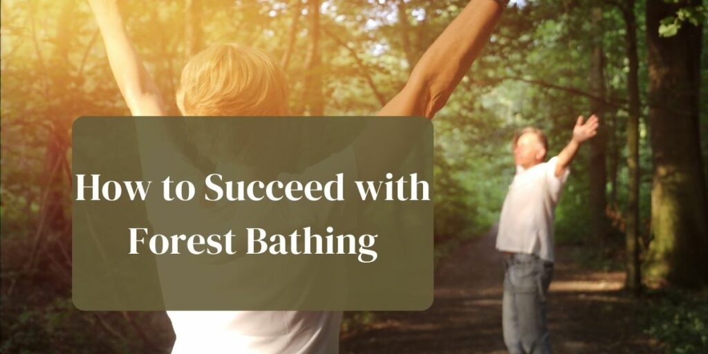 How to Succeed with Forest Bathing