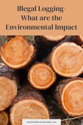 Illegal Logging- What are the Environmental Impact