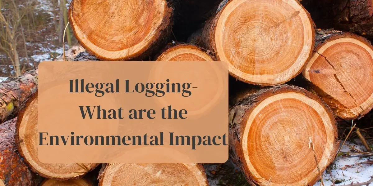 thesis statement about environmental impacts of logging brainly
