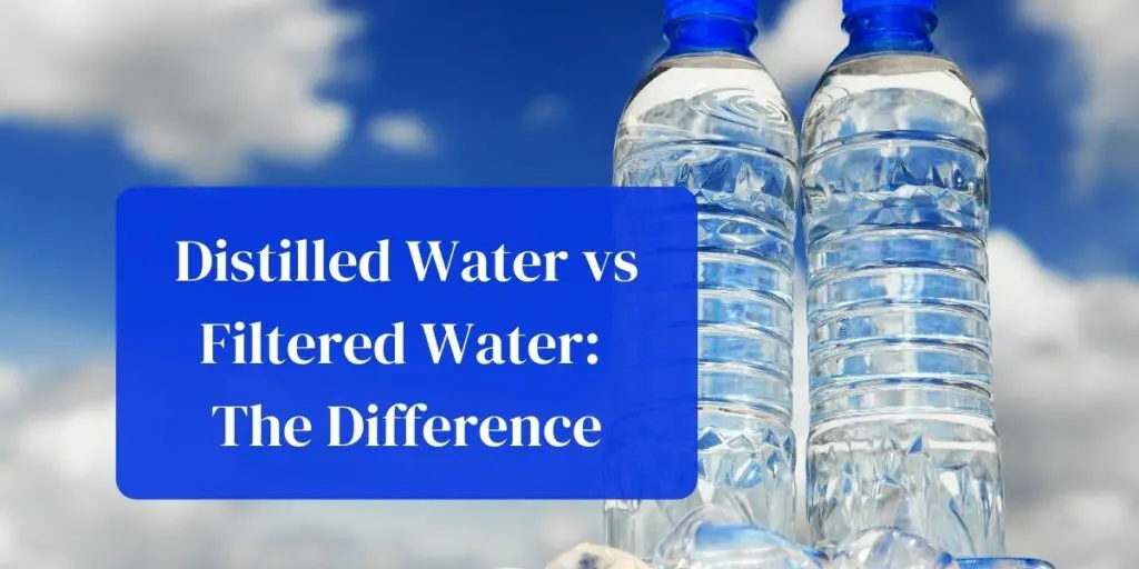 Distilled Water vs Filtered Water: The Difference