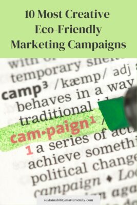 10 Most Creative Eco-Friendly Marketing Campaigns
