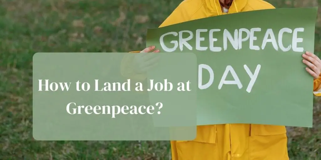 How to Land a Job at Greenpeace?