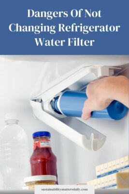 Dangers Of Not Changing Refrigerator Water Filter