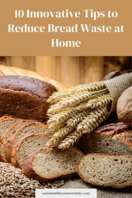 10 Innovative Tips to Reduce Bread Waste at Home