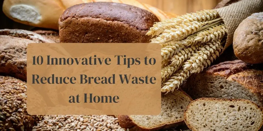 10 Innovative Tips to Reduce Bread Waste at Home