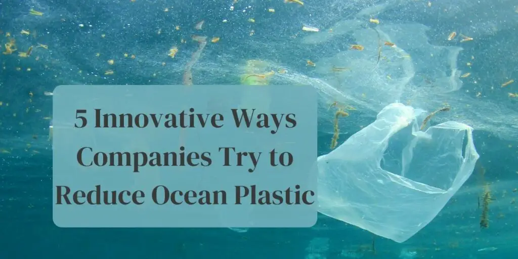 5 Innovative Ways Companies Try to Reduce Ocean Plastic