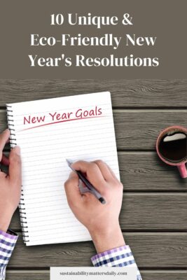 10 Unique &  Eco-Friendly New Year's Resolutions