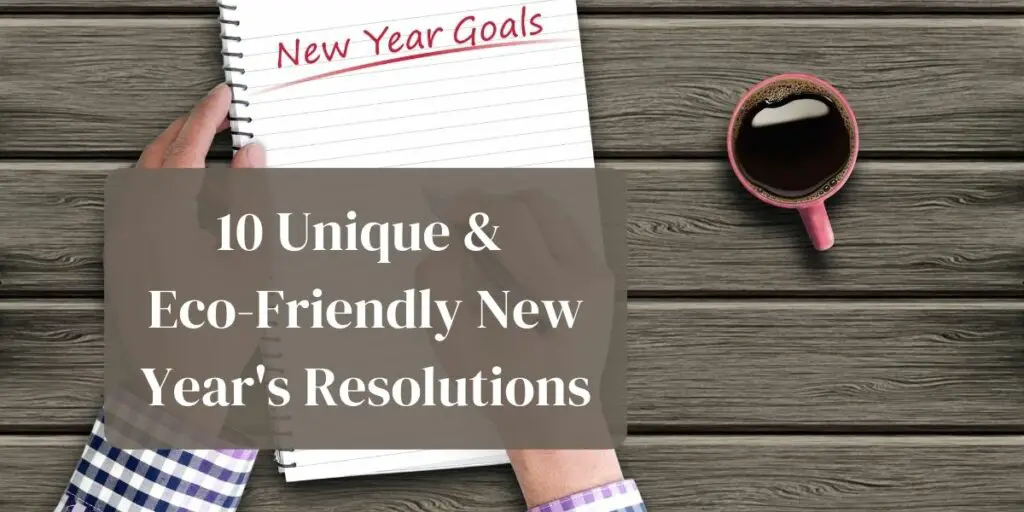 10 Unique & Eco-Friendly New Year's Resolutions