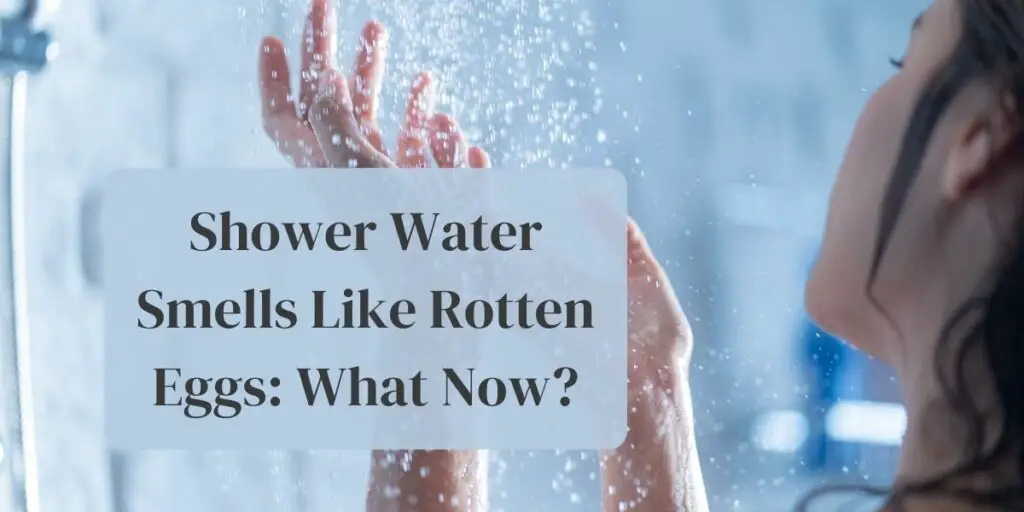 Shower Water Smells Like Rotten Eggs: What Now?